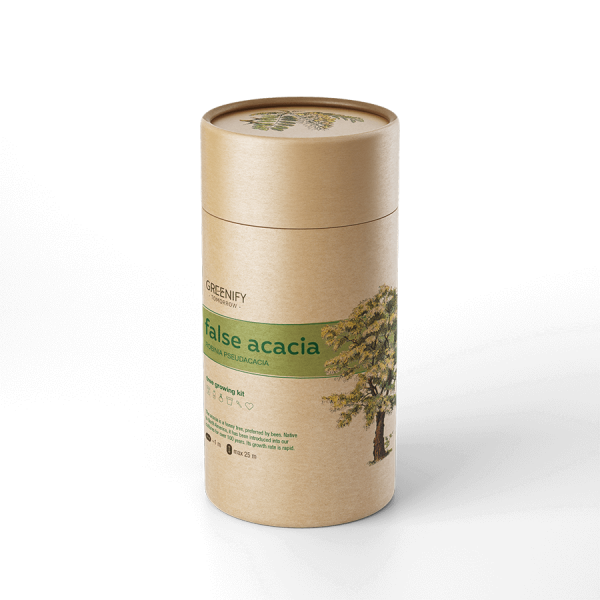 new-false-accacia-png